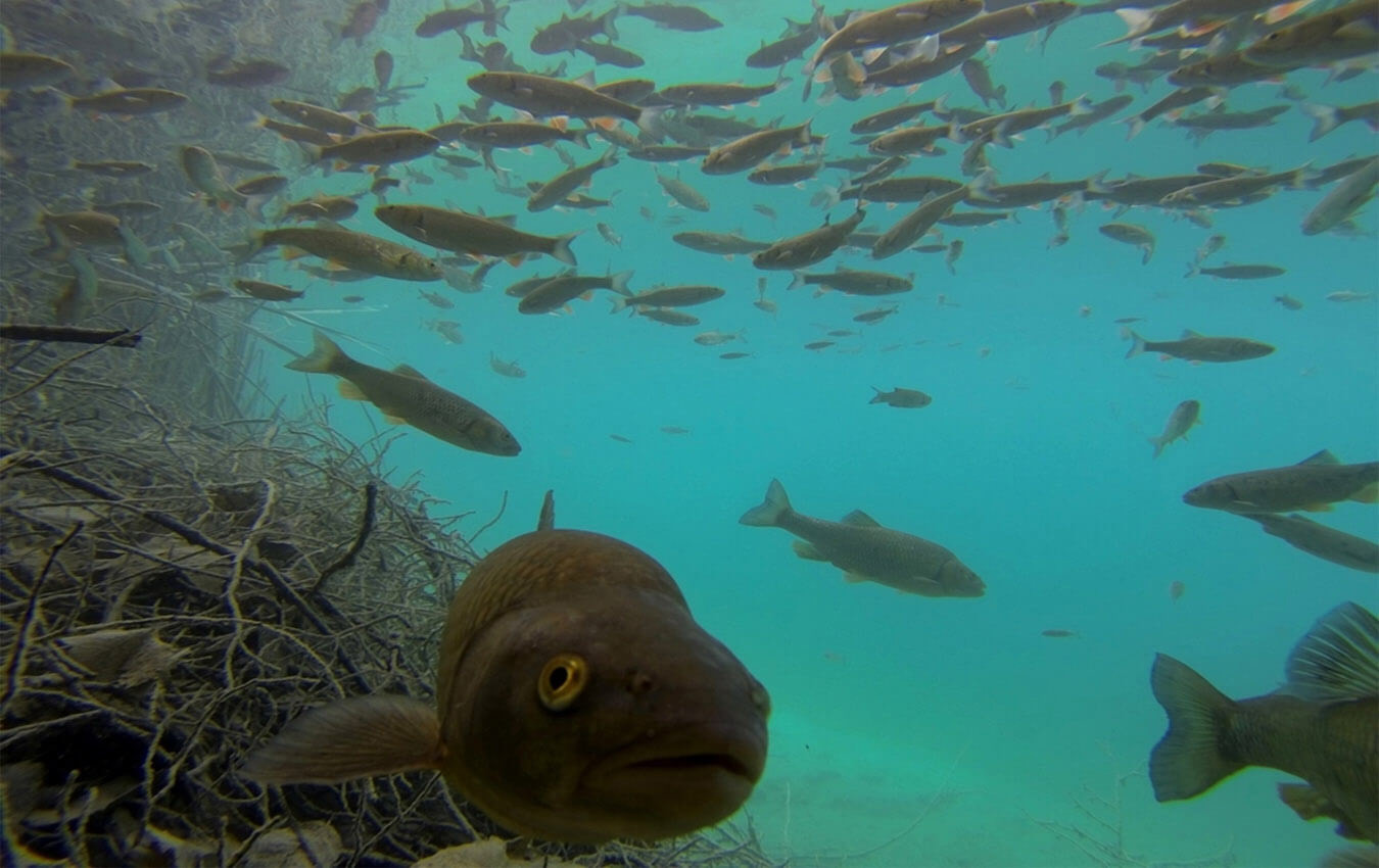 Croatia Active: 8 days