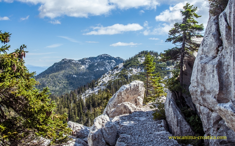 velebit2